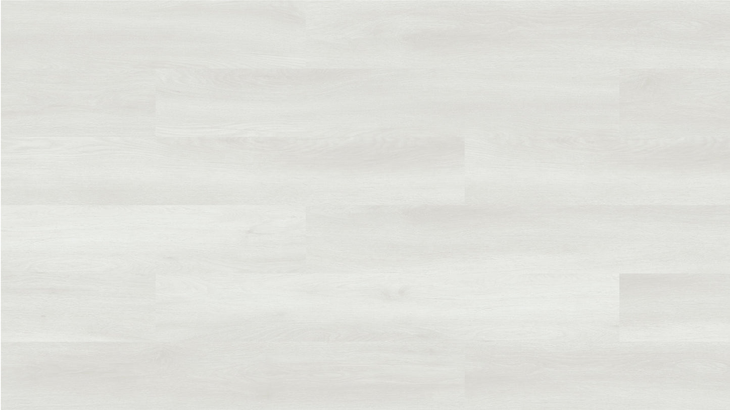 GU1110 萊兒白橡