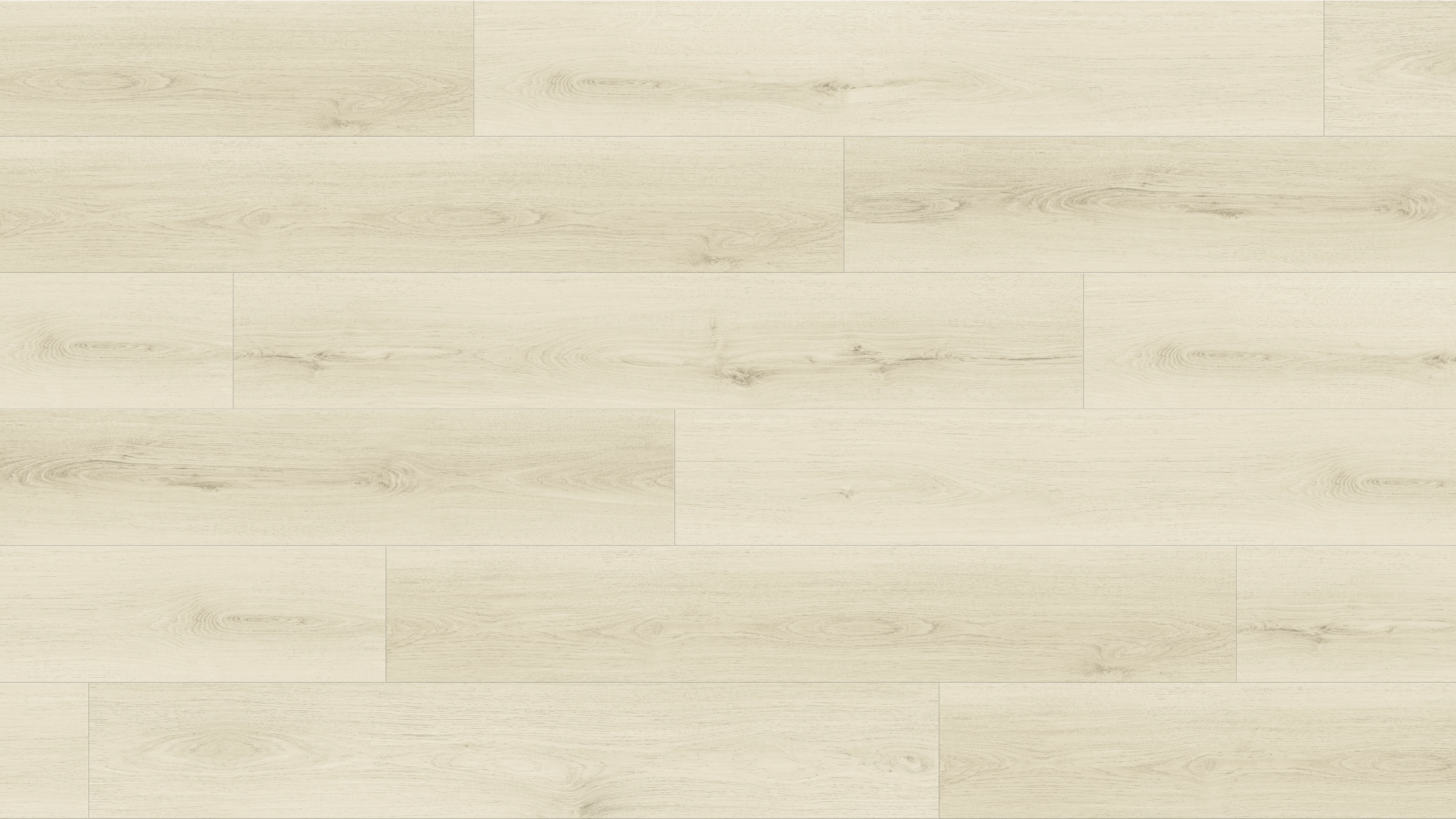 GL6109 拉沃爾白橡