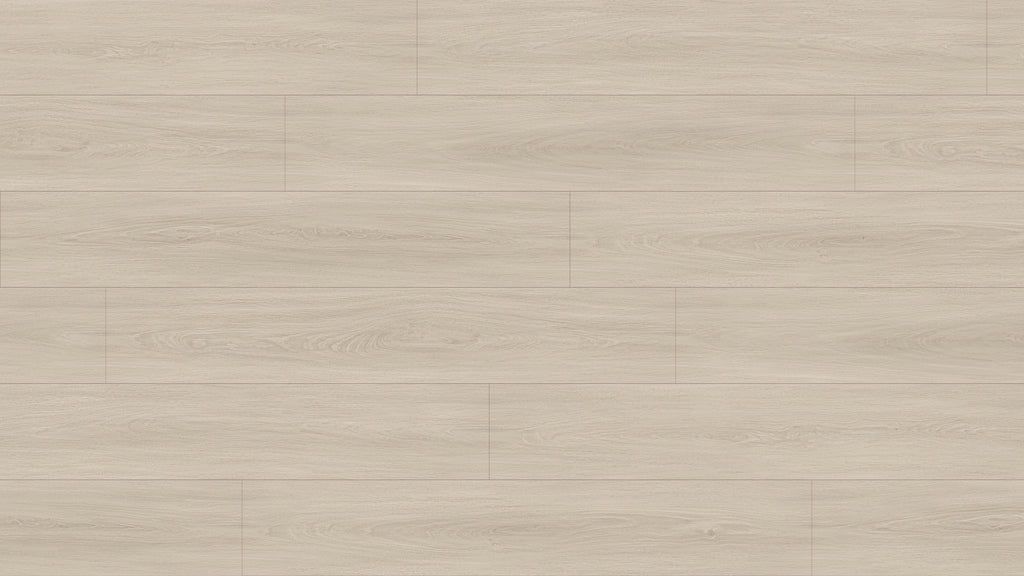 GL6113 伊納里白橡