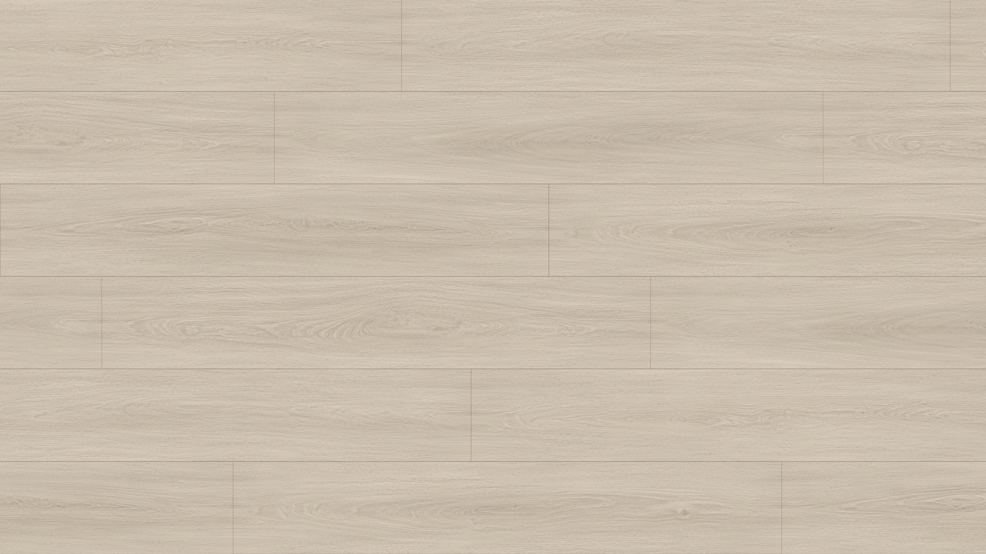 GL6113 伊納里白橡