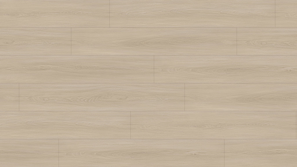 GL6114 溫德爾淺橡