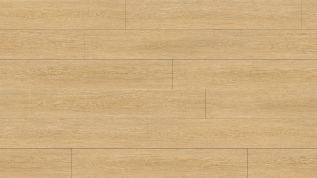 GL6115 斯卡恩米橡