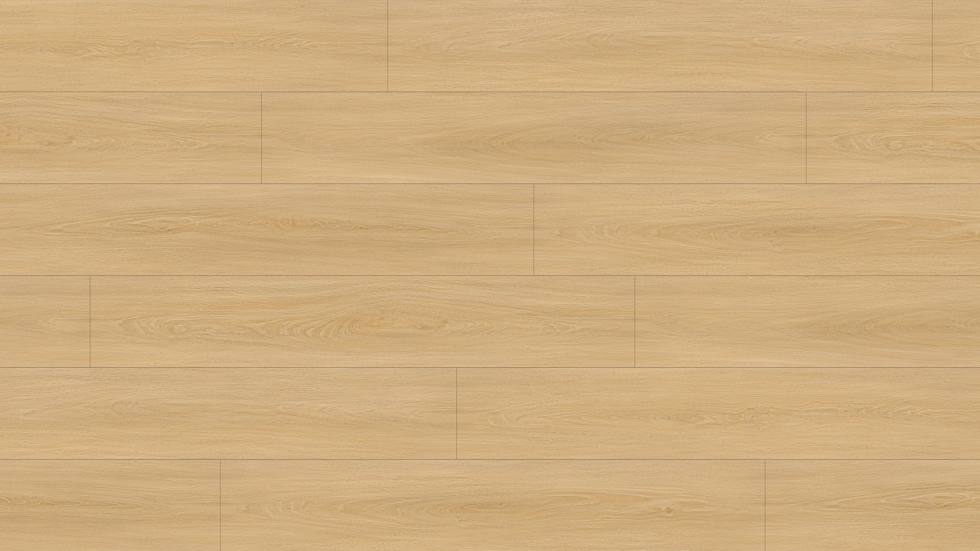 GL6115 斯卡恩米橡