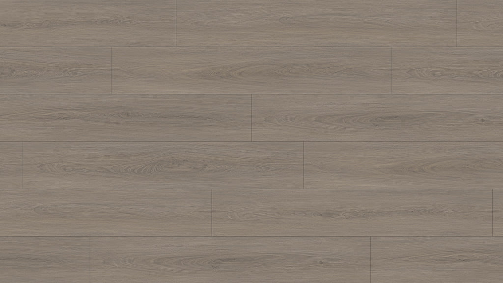 GL6116 雷克雅灰橡