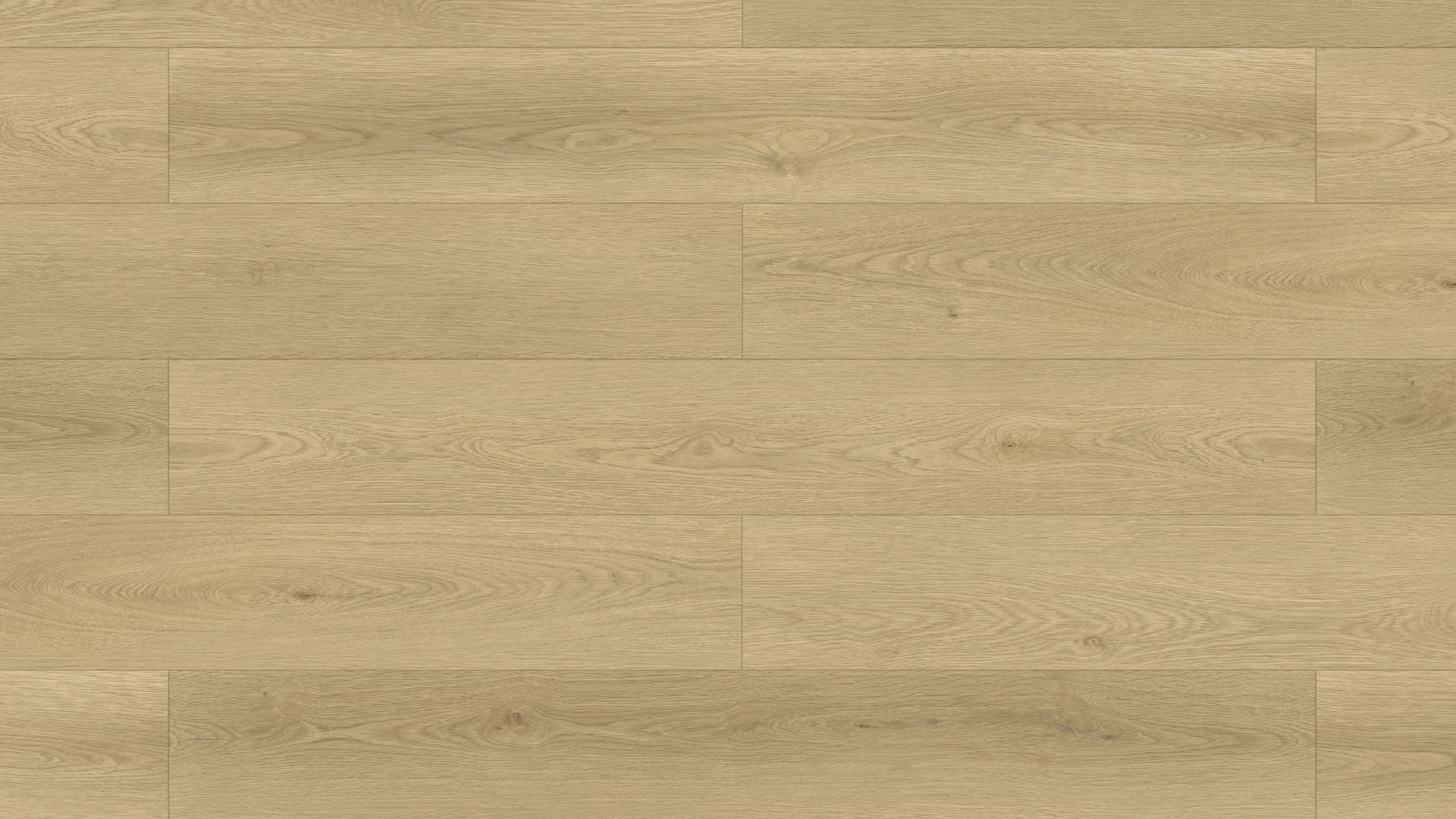 GP7105 坎德斯橡木