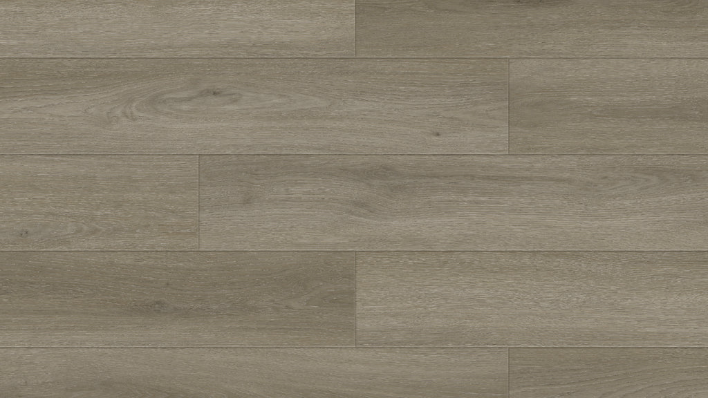 GP7106 伊科涅灰橡