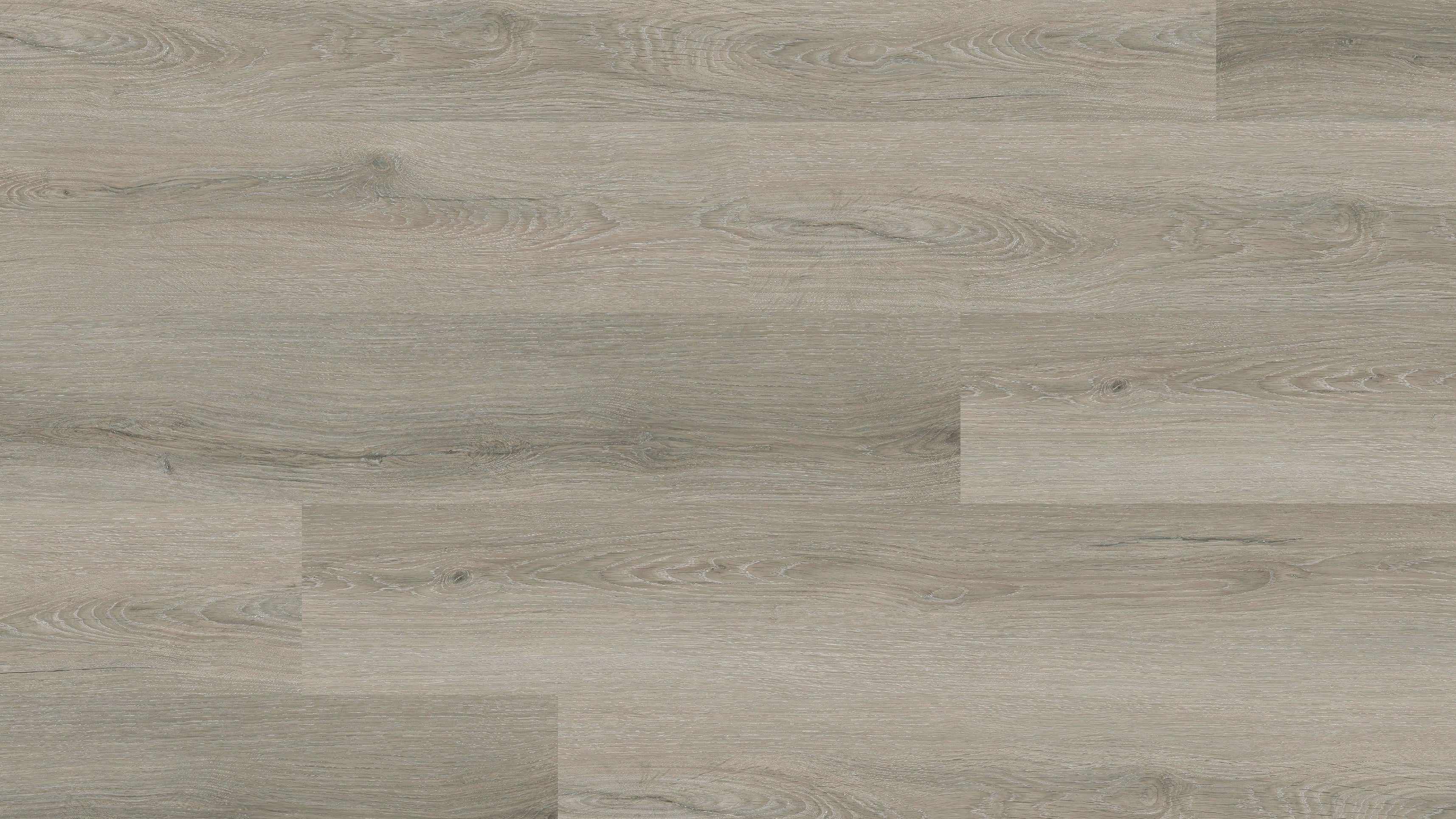 GU1120 菲爾特灰橡