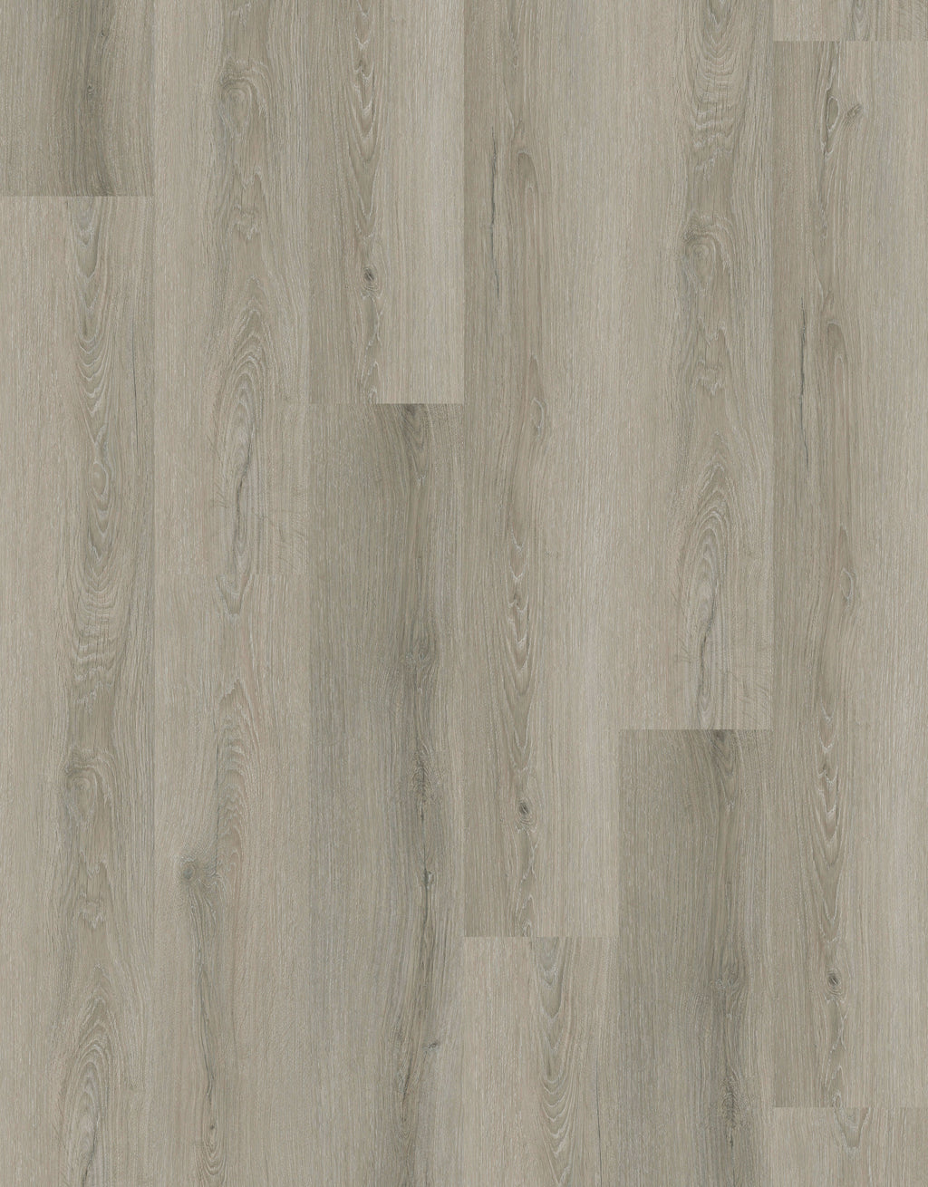 GU1120 菲爾特灰橡