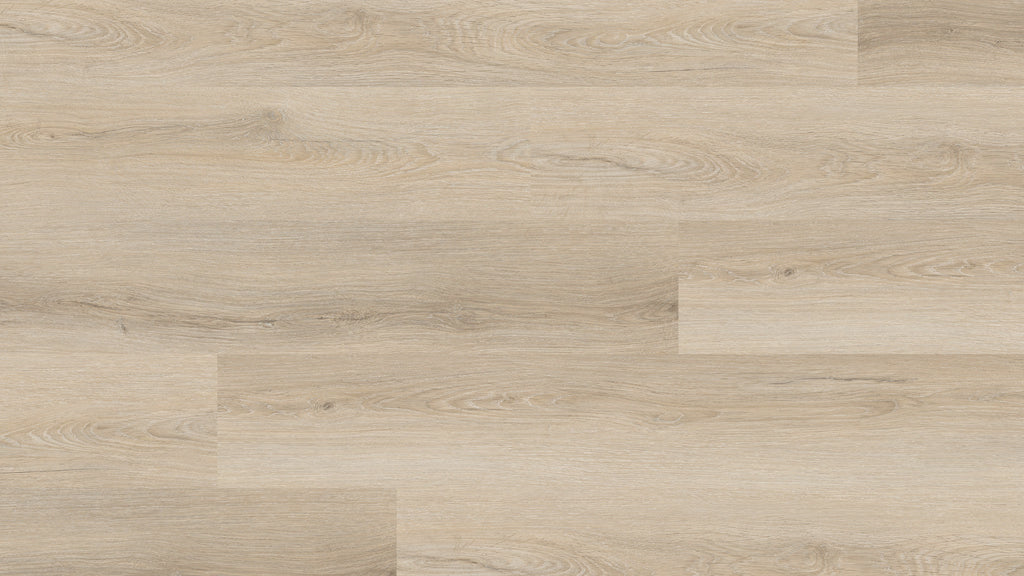 GU1121 庫瑟爾米橡