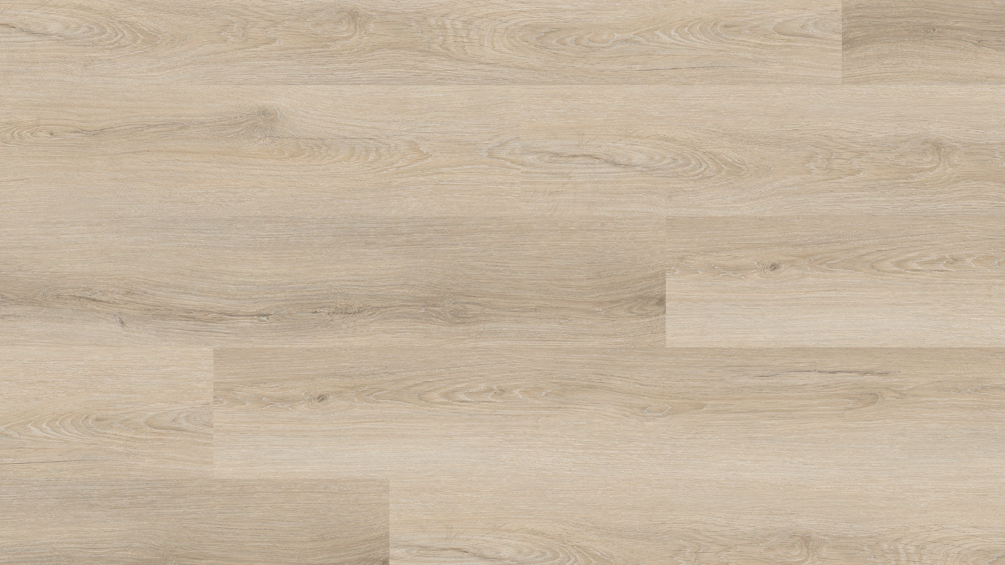 GU1121 庫瑟爾米橡