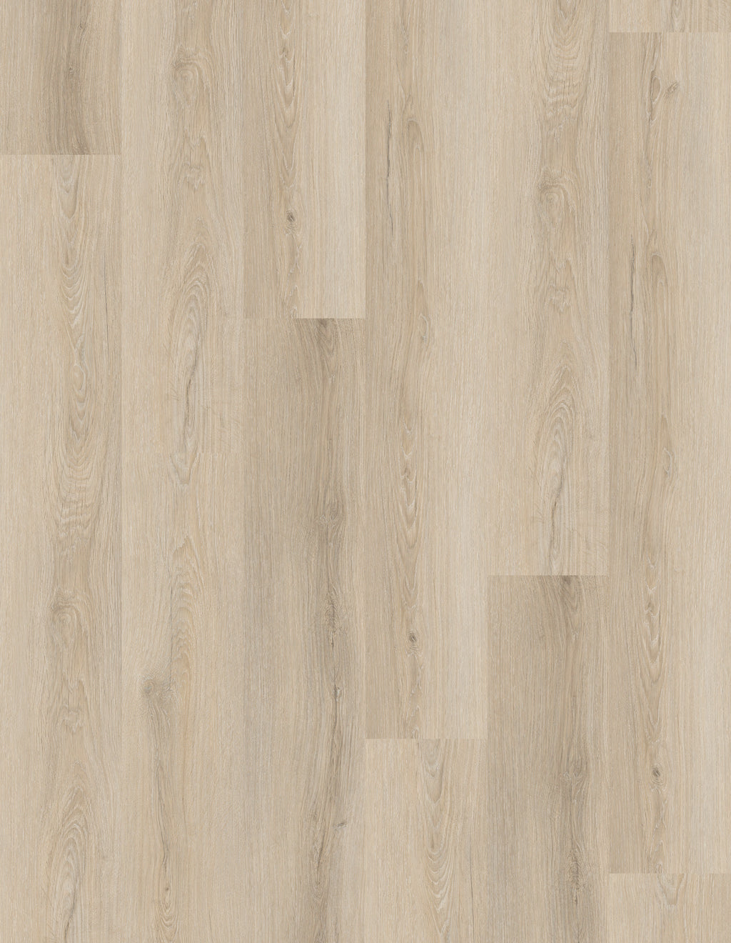 GU1121 庫瑟爾米橡