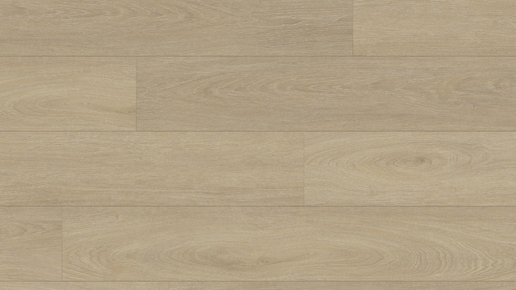 GU2111 沃爾達米橡