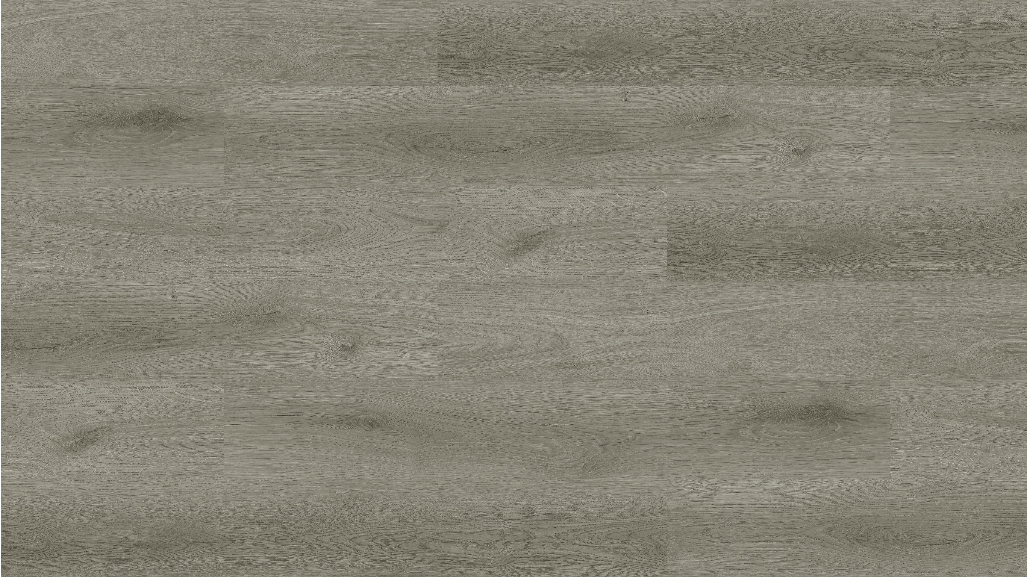 GU1112 特拉凱灰橡