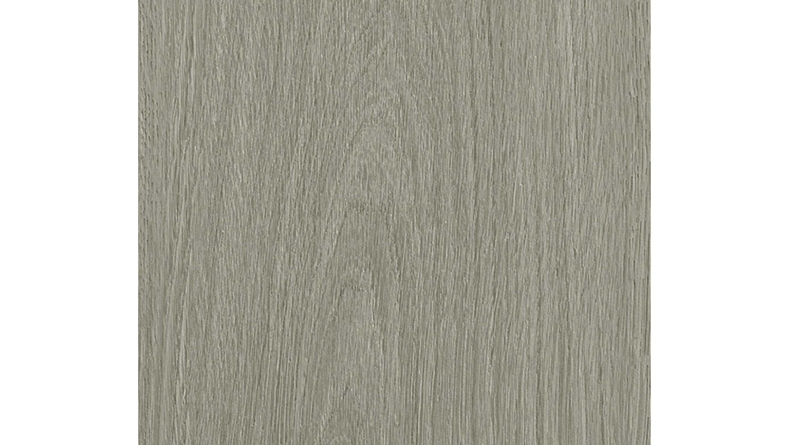 GU1112 特拉凱灰橡